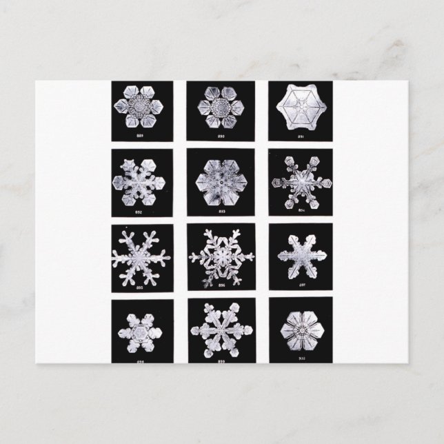 Cartão Postal Flocos de neve (Frente)