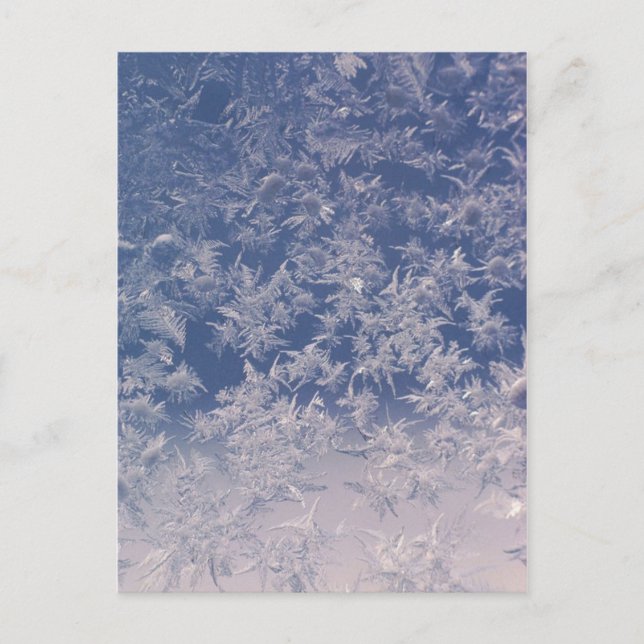 Cartão Postal Flocos de neve da janela (Frente)