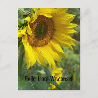 Cartão Postal flor