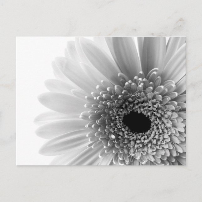 Cartão Postal Flor (Frente)