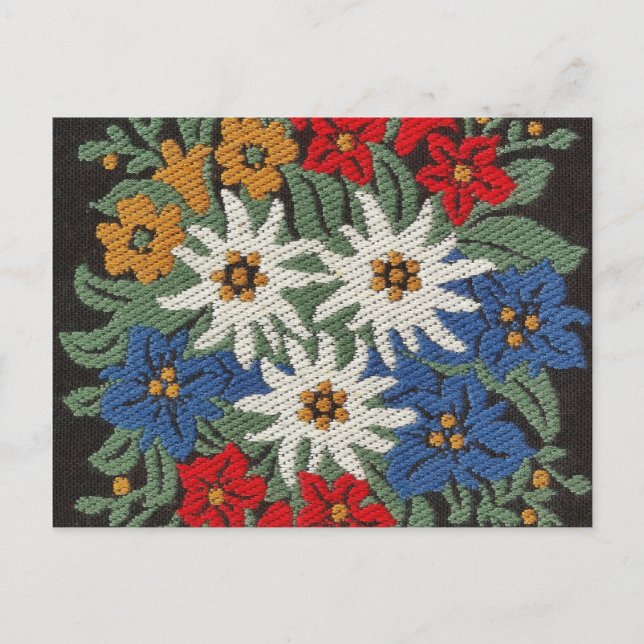 Cartão Postal Flor alpino suíço Edelweiss (Frente)