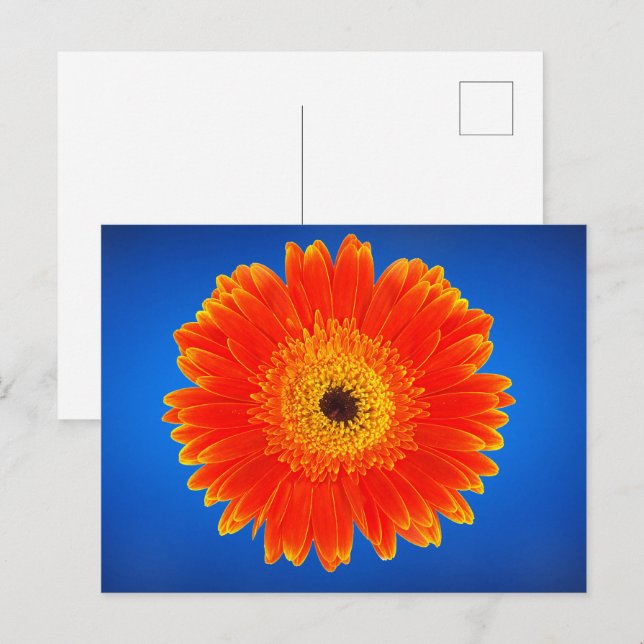 Cartão Postal Flor amarela (Frente/Verso)