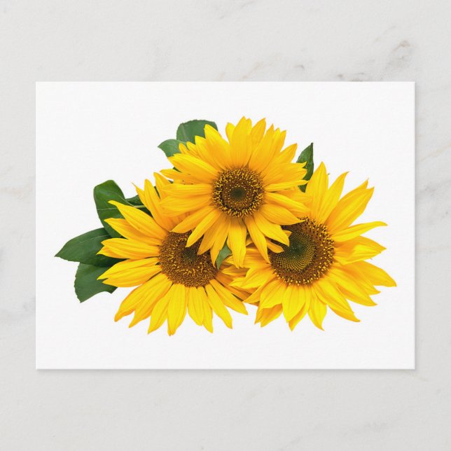 Cartão Postal Flor Amarelo Amarelo - Olá, Amor (Frente)