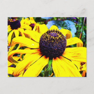 Cartão Postal Flor Amarelo Bril: Funchal, Portugal