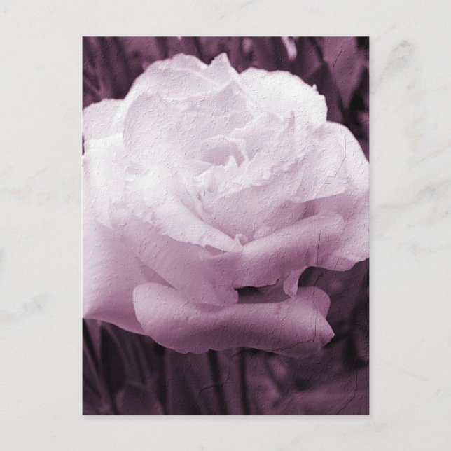 Cartão Postal Flor Art (Frente)