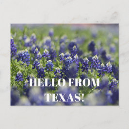 Cartão Postal Flor Azul Flor Azul Floral do Texas Bluetooth