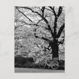 Cartão Postal Flor & Bicicleta: Japão