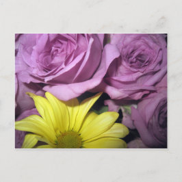 Cartão Postal Flor Blossoms Daisy Rosas Adoram Destino
