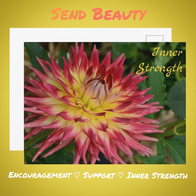 Cartão Postal Flor Botânica Amarelo e Vermelho Dália Flor (Criador carregado)