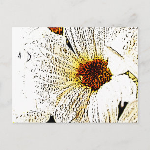 Cartão Postal Flor branca