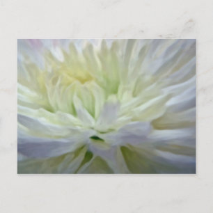 Cartão Postal Flor branca