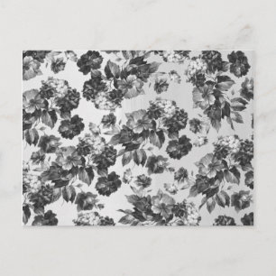 Cartão Postal Flor branco-preto-branco-botânico-russo