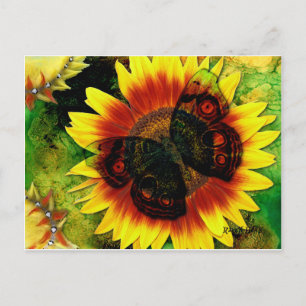 Cartão Postal Flor da Borboleta
