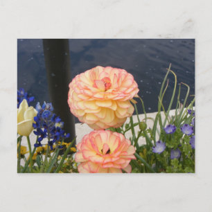 Cartão Postal FLOR DA mãe
