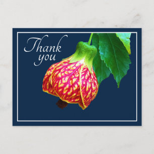 Cartão Postal Flor de Álamo Flor Fundo Azul Obrigado