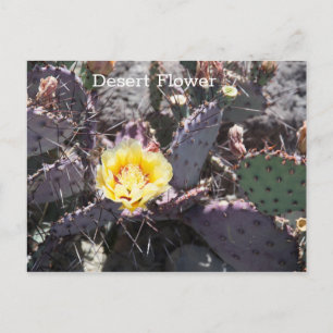 Cartão Postal Flor de cacto amarela na primavera