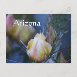Cartão Postal flor de cacto de marfim, Arizona