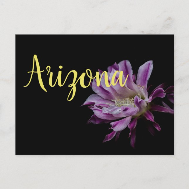 Cartão Postal Flor de cacto roxo e branco (Frente)