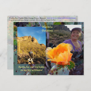 Cartão Postal Flor de cactus de pera picante / Laranja / Arizona