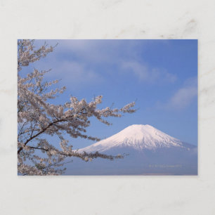 Cartão Postal Flor de Cerejeira e Mt. Fuji 2