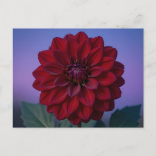 Cartão Postal Flor de Dália Vermelha Borgonha Elegante
