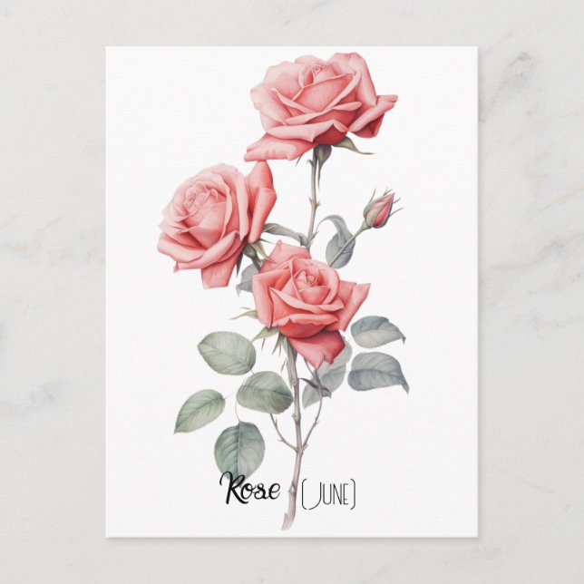 Cartão Postal Flor de Data de Nascimento Rosa (Junho) (Frente)