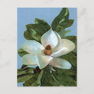 Cartão Postal Flor de Flor de Magnólia