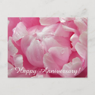Cartão Postal Flor de florescência romance cor-de-rosa da peôn
