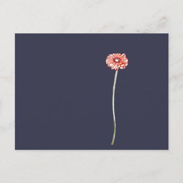 Cartão Postal Flor de Gerbera Vermelho Pálido (Frente)