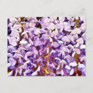 CARTÃO POSTAL FLOR DE GLICÍNIA