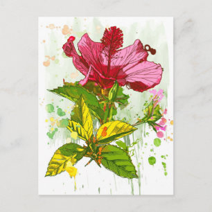 Cartão Postal Flor de Hibiscus - pintura aquosa