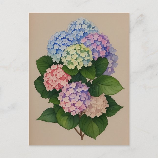 Cartão Postal Flor De Hydrangea Azul E Púrpura (Frente)