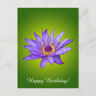 Cartão Postal Flor de Lírio Aquático Roxo do Lago de Nenúfar