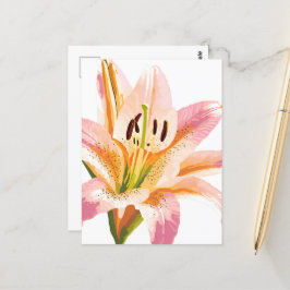 Cartão Postal Flor de Lírio Rosa | Pintura Floral em Aquarela