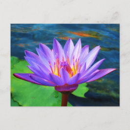 Cartão Postal Flor de Lotus