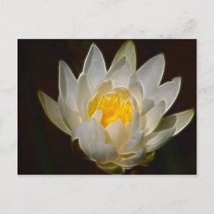 Cartão Postal Flor de lótus e significado