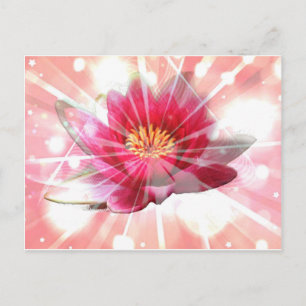 Cartão Postal flor de lótus rosa