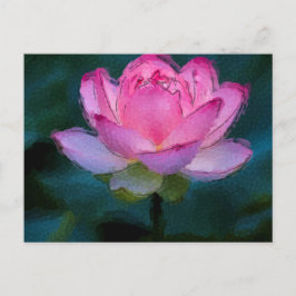 Cartão Postal Flor de Lotus Rosa