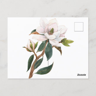 Cartão Postal flor de magnólia em aquarela