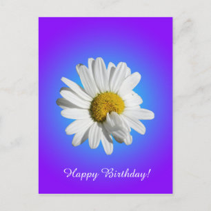 Cartão Postal Flor de Margarida Branca Gradiente Azul Roxo