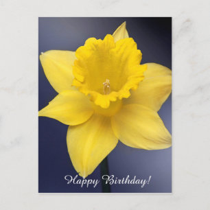 Cartão Postal Flor de Narciso Amarelo pintura em aquarela