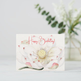 Cartão Postal Flor de Nymphaea Lotus Aniversário Feliz Personali