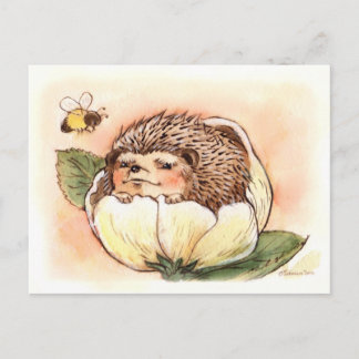 Cartão Postal Flor de ouriço Bebê Aquarela