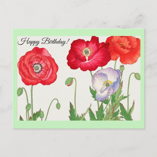 Cartão Postal Flor de papoila (Frente)