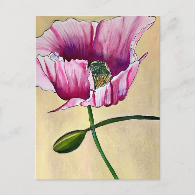 Cartão Postal Flor de papoila rosa com aquarelas (Frente)