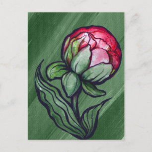 Cartão Postal Flor de Peônia Peônias arte de Jardineiro Rosa    