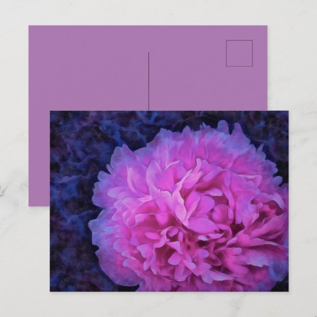 Cartão Postal Flor de Peony Lush Rosa (Frente/Verso)
