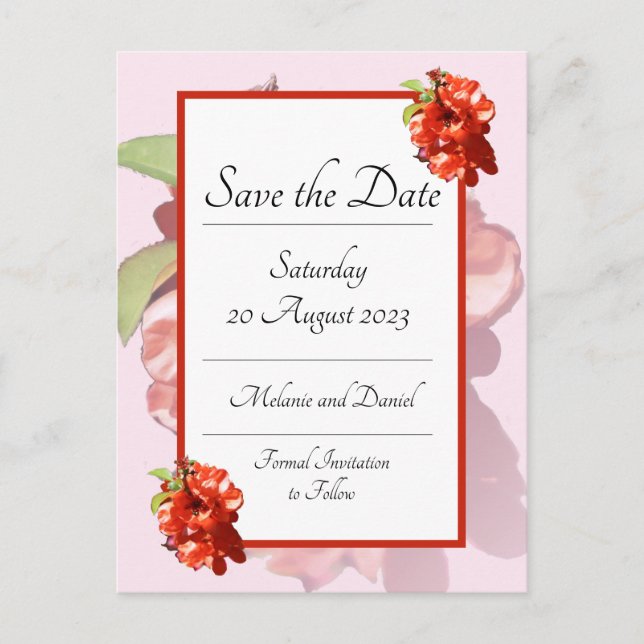 Cartão Postal Flor de Quince Vermelha e Rosa Save the Date (Frente)