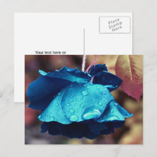 Cartão Postal Flor de Rosa Azul Personalizada