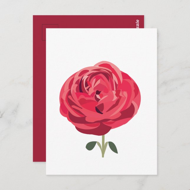 Cartão Postal Flor de Rosa Vermelha Rosa Vermelha Floral (Frente/Verso)